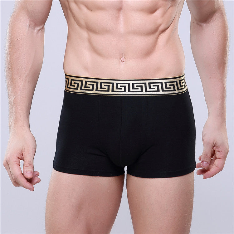 Olympus Boxer Briefs