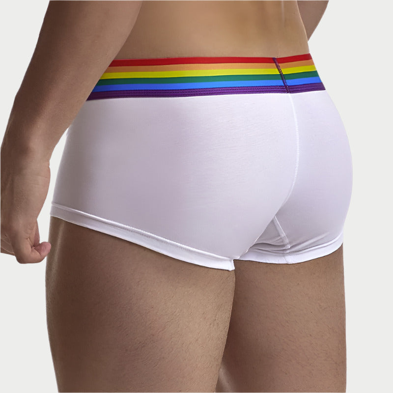 Rainbow Boxer Briefs