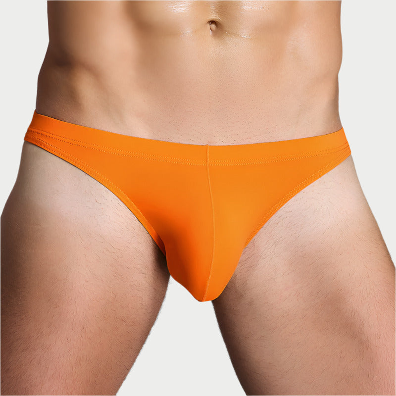 Essentials Ice Silk Briefs