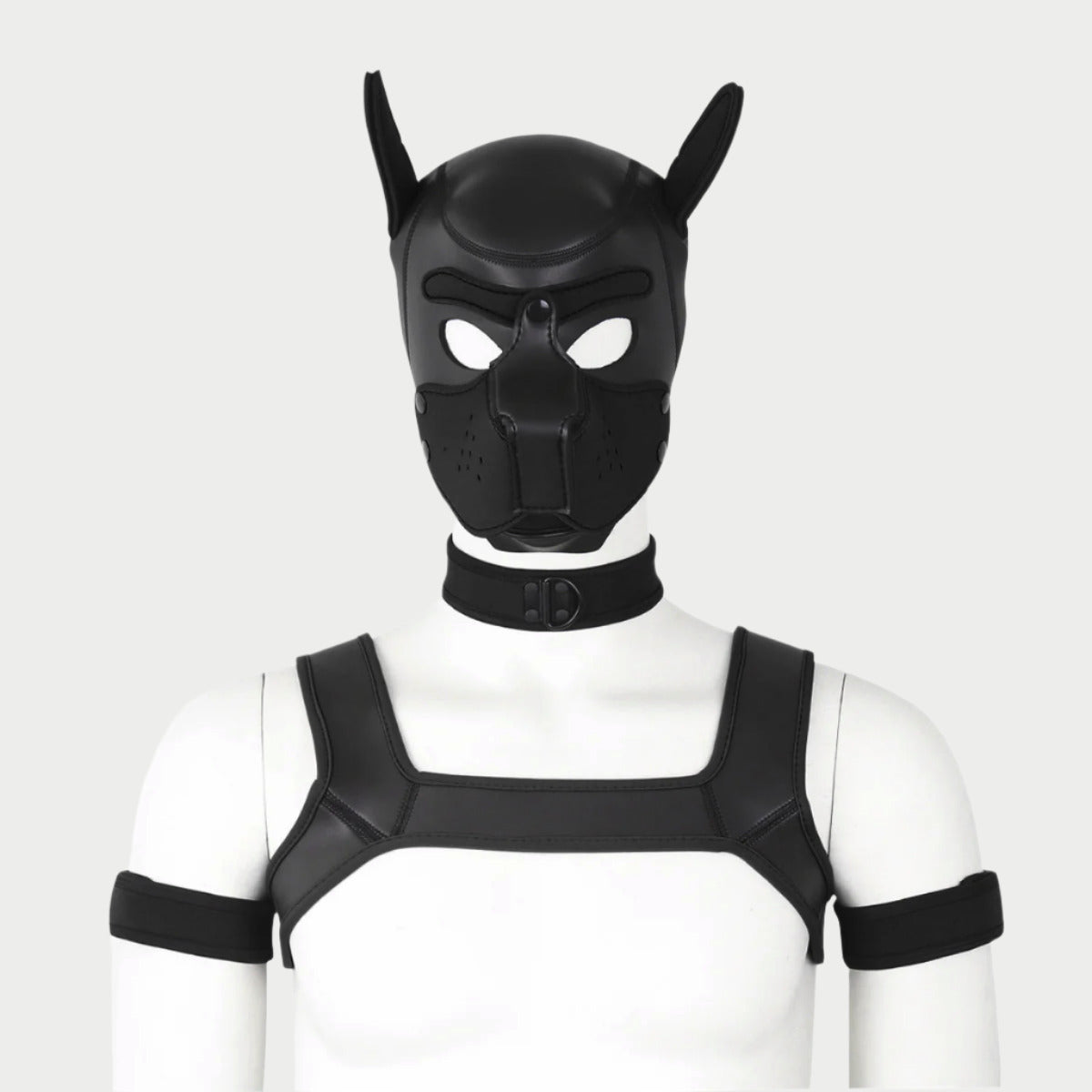 Pup Hood / Mask & Accessories