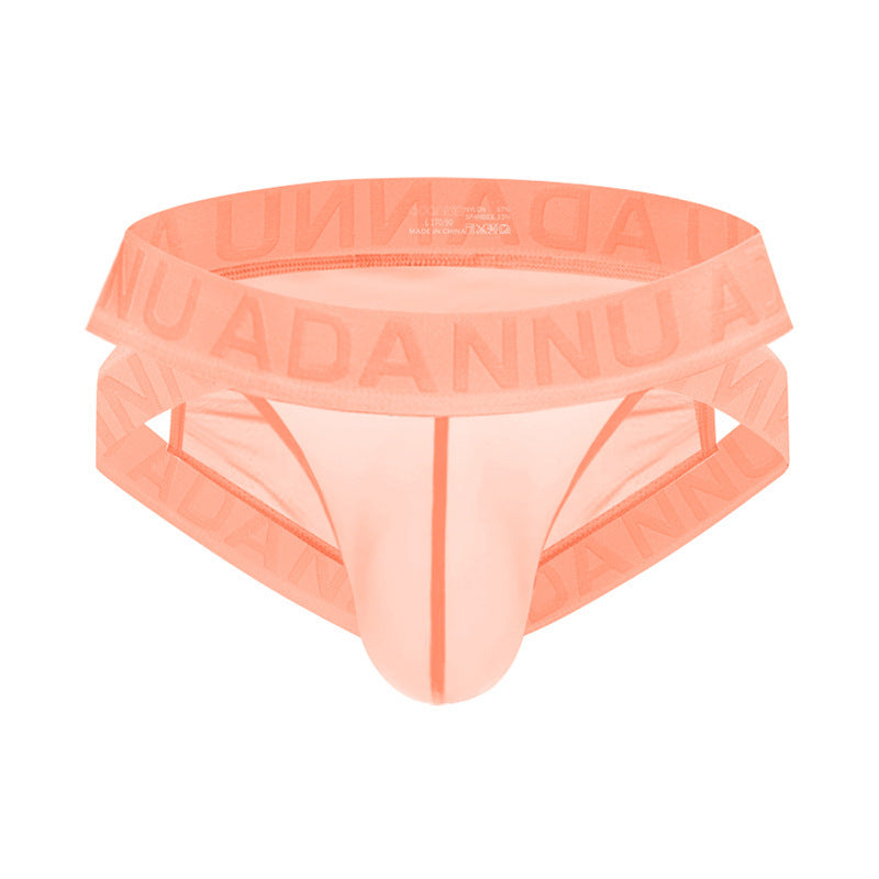 Sheer Mesh Brief