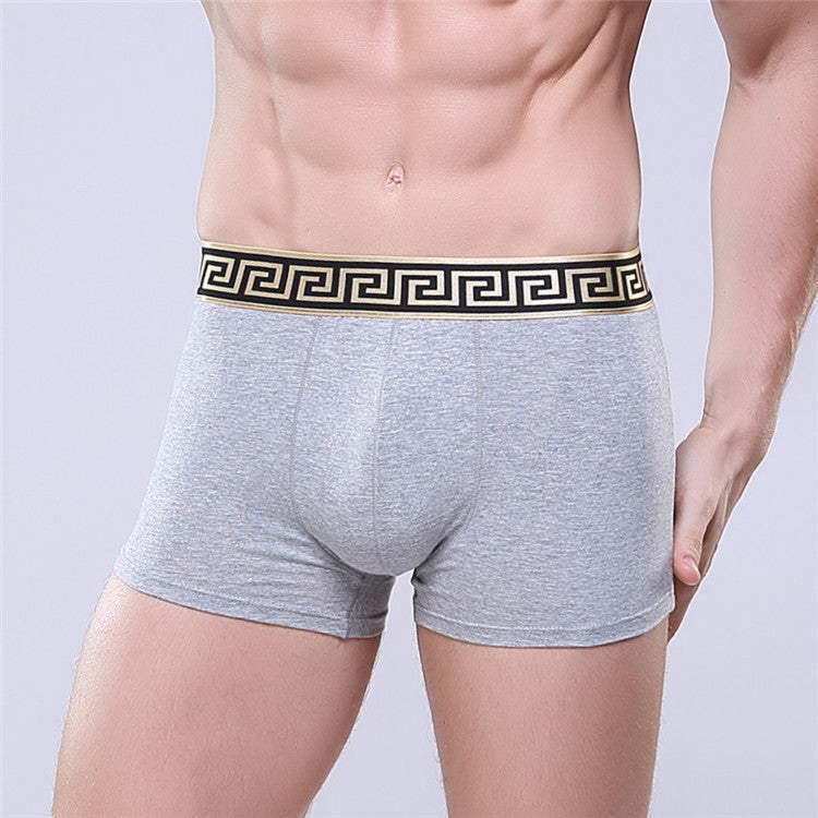 Olympus Boxer Briefs