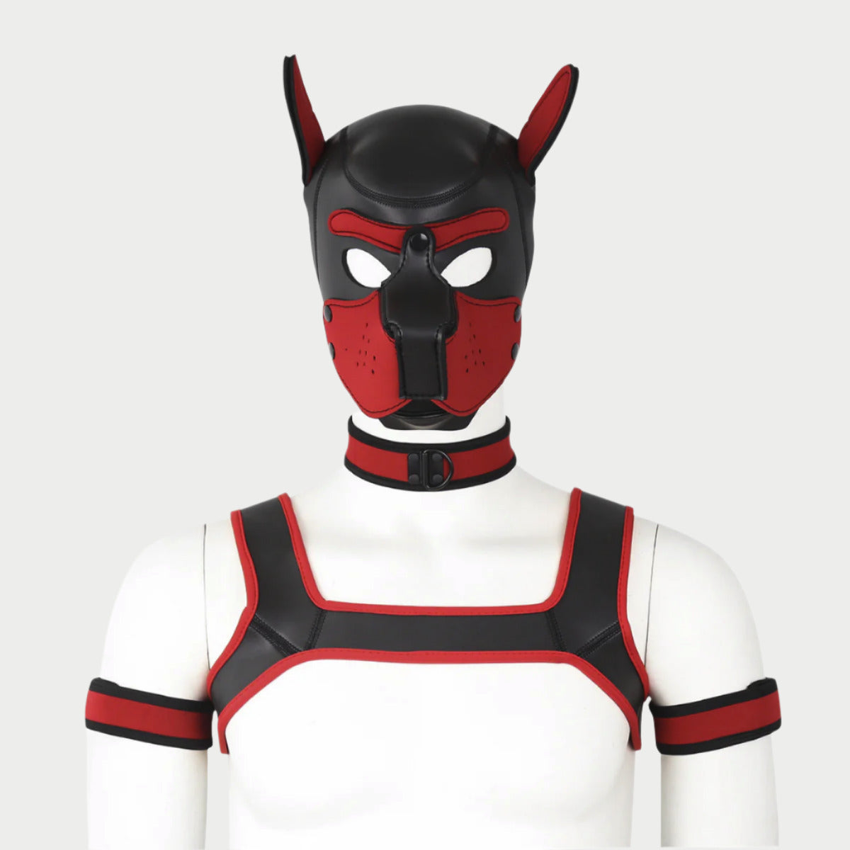 A person wearing a black and red neoprene dog hood and mask with accessories, including a neck strap, chest harness, and arm strap.