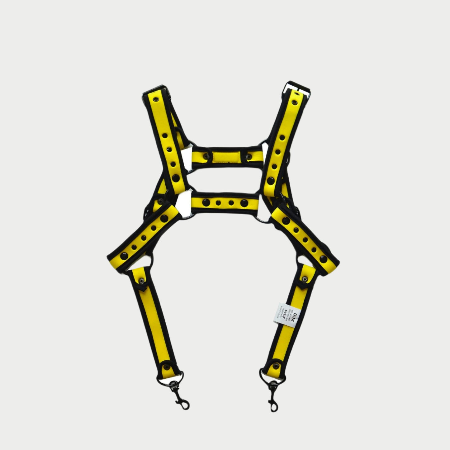 Coloured Harness