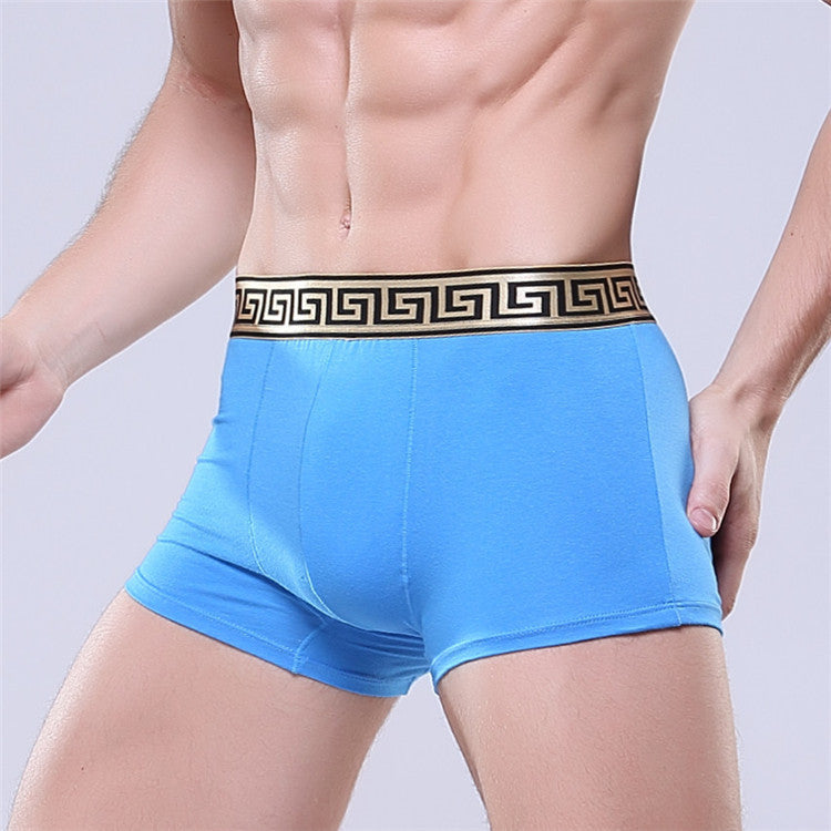 Olympus Boxer Briefs
