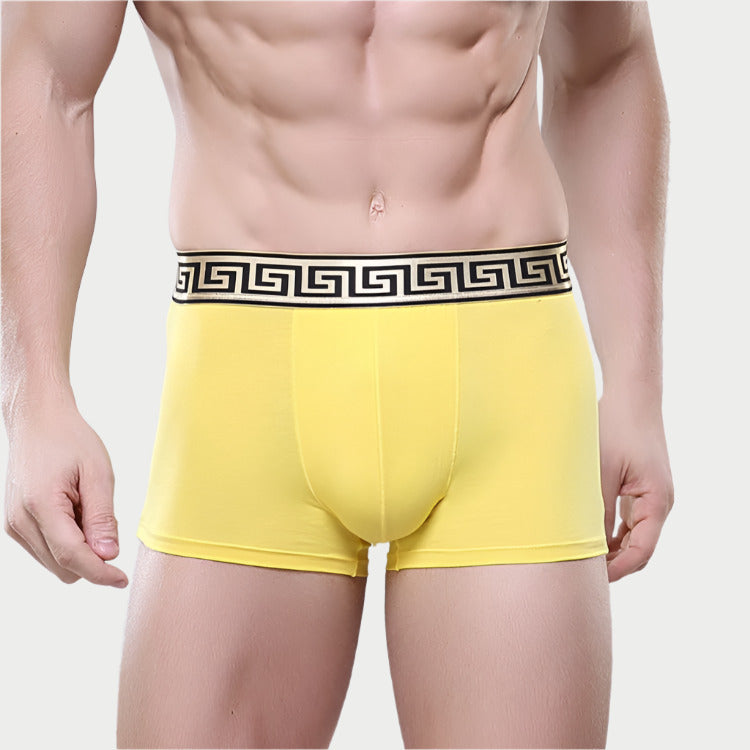 Olympus Boxer Briefs