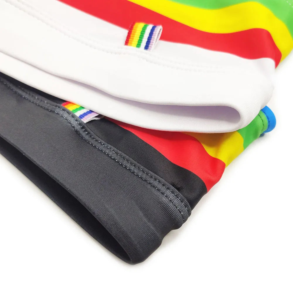 Rainbow Stripe Swim Briefs