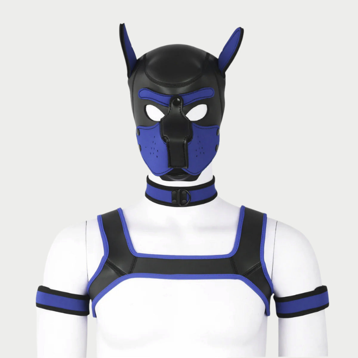 Pup Hood / Mask & Accessories