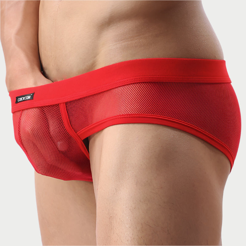 Mesh Silk Briefs