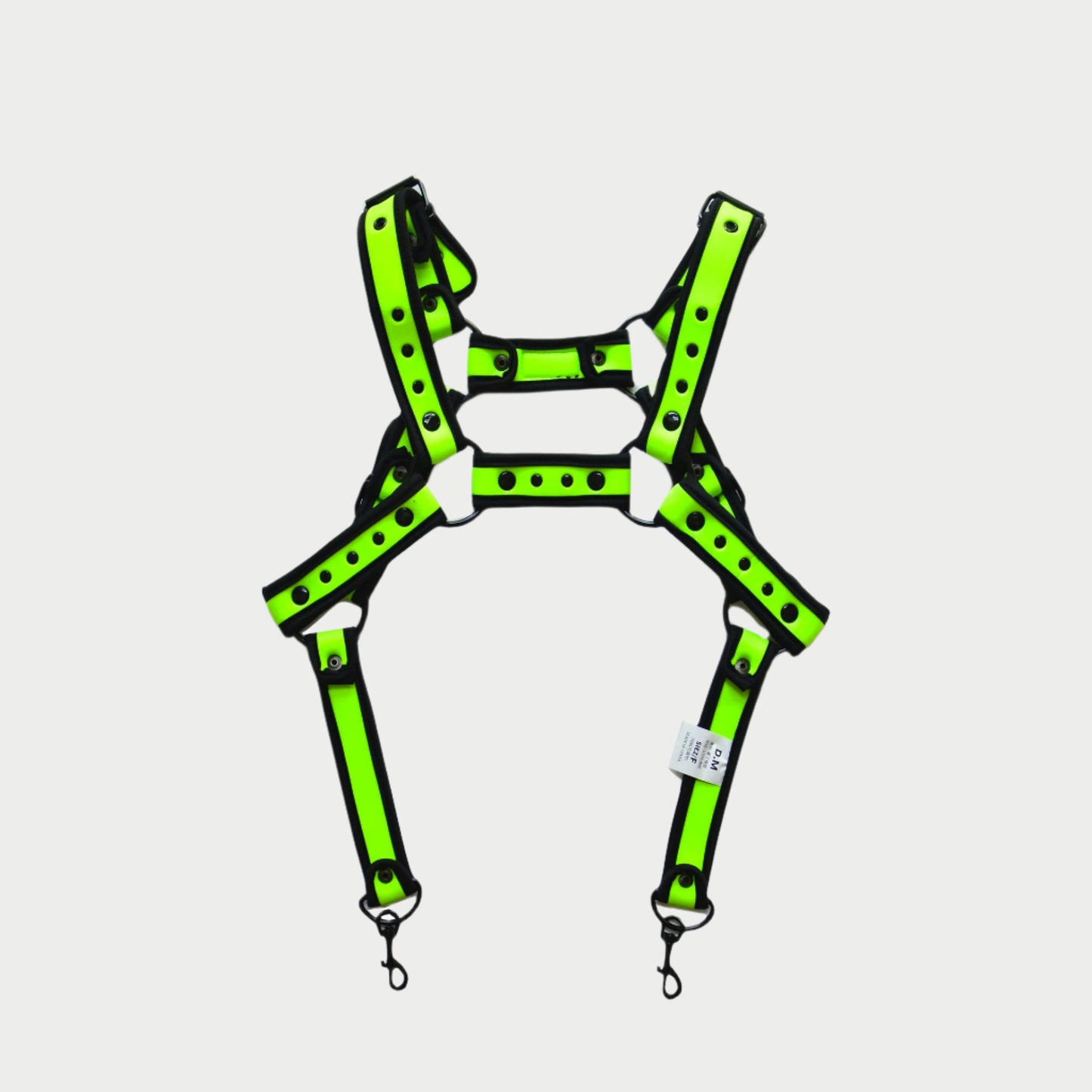 Coloured Harness