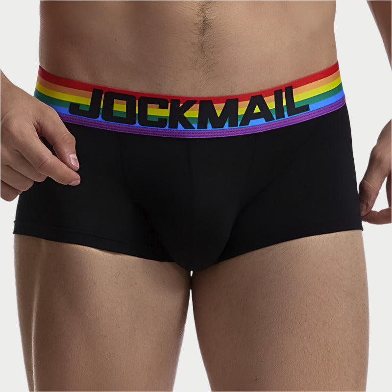 Rainbow Boxer Briefs