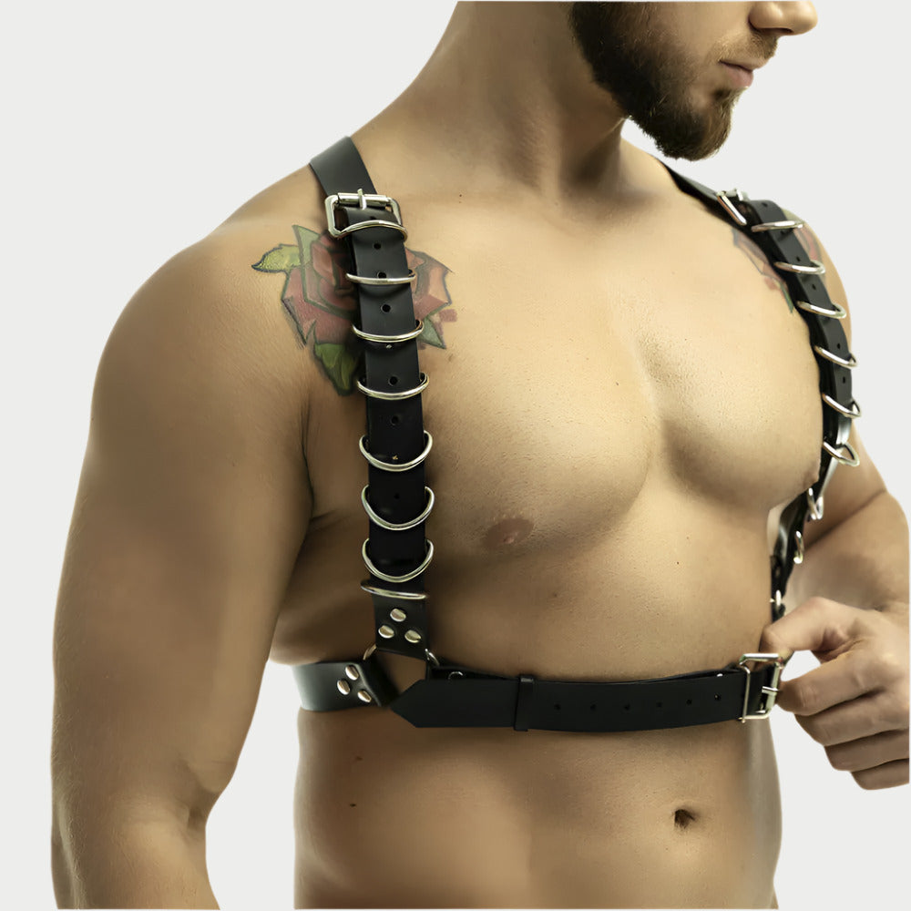 Full Buckle Body Harness