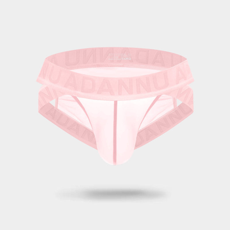 Sheer Mesh Brief