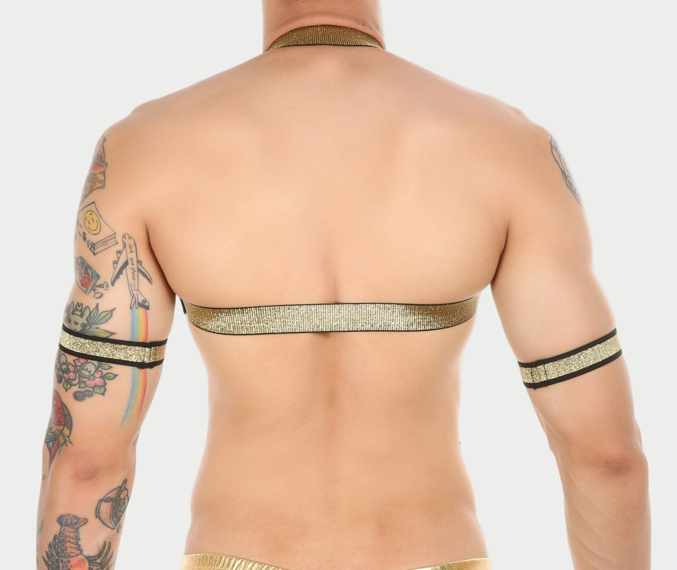 Gold Glitter Harness