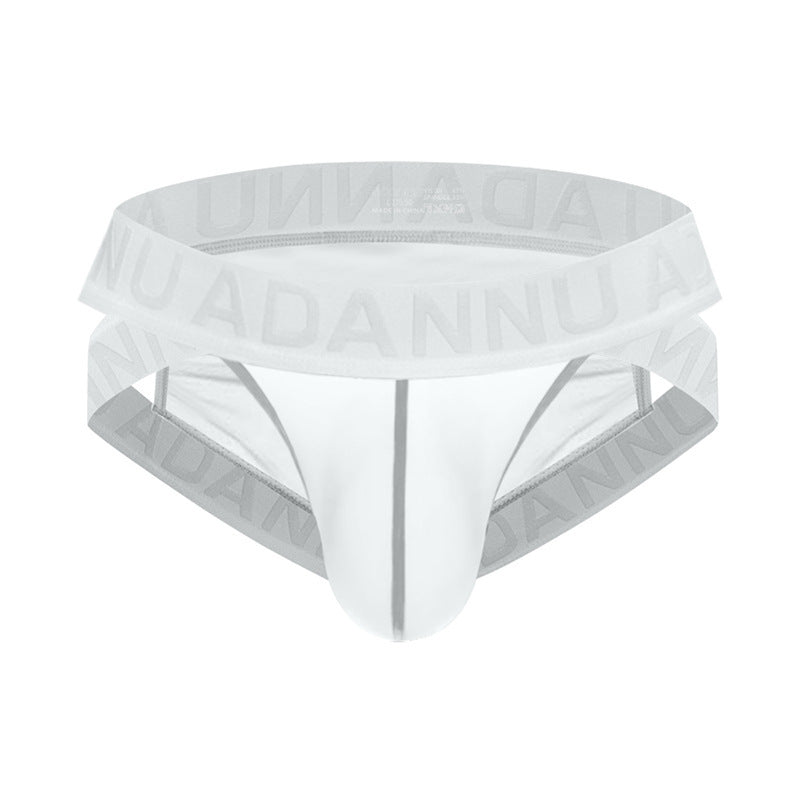 Sheer Mesh Brief