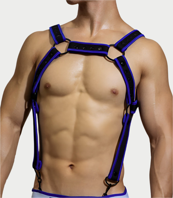 Coloured Harness