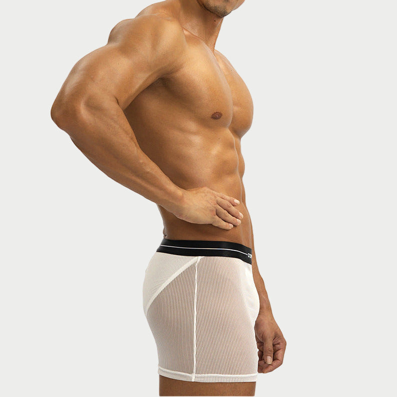 GX Sheer Mesh Boxer Shorts