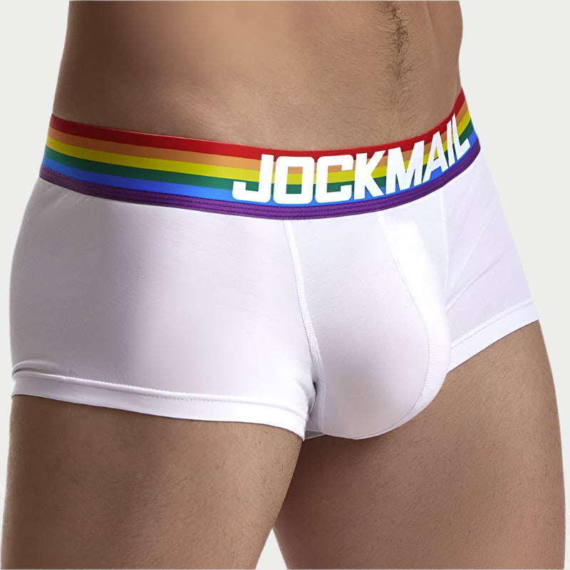 Rainbow Boxer Briefs