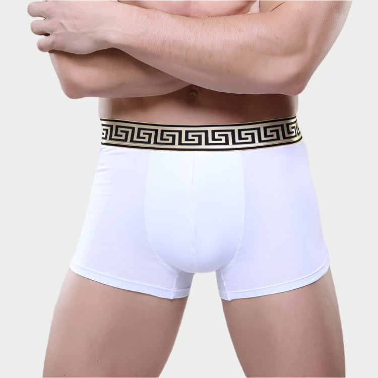 Olympus Boxer Briefs
