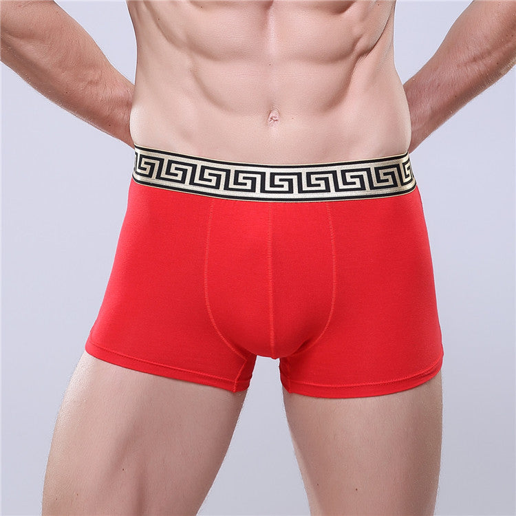 Olympus Boxer Briefs