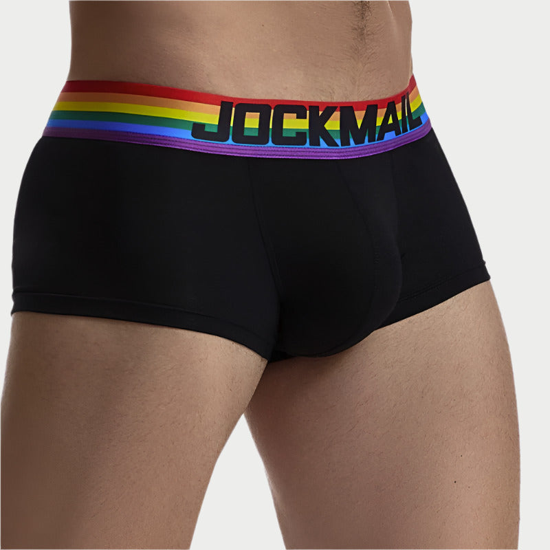 Rainbow Boxer Briefs