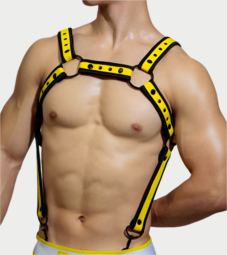 Coloured Harness