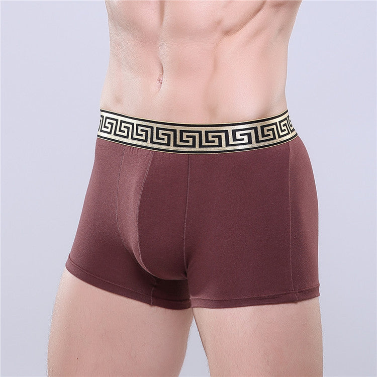 Olympus Boxer Briefs
