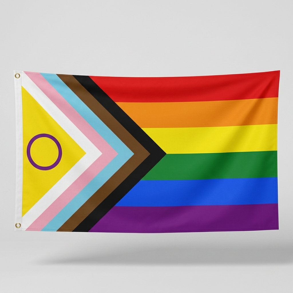 Large Progress Pride Flag