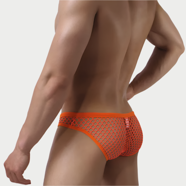 Mesh Fishnet Briefs