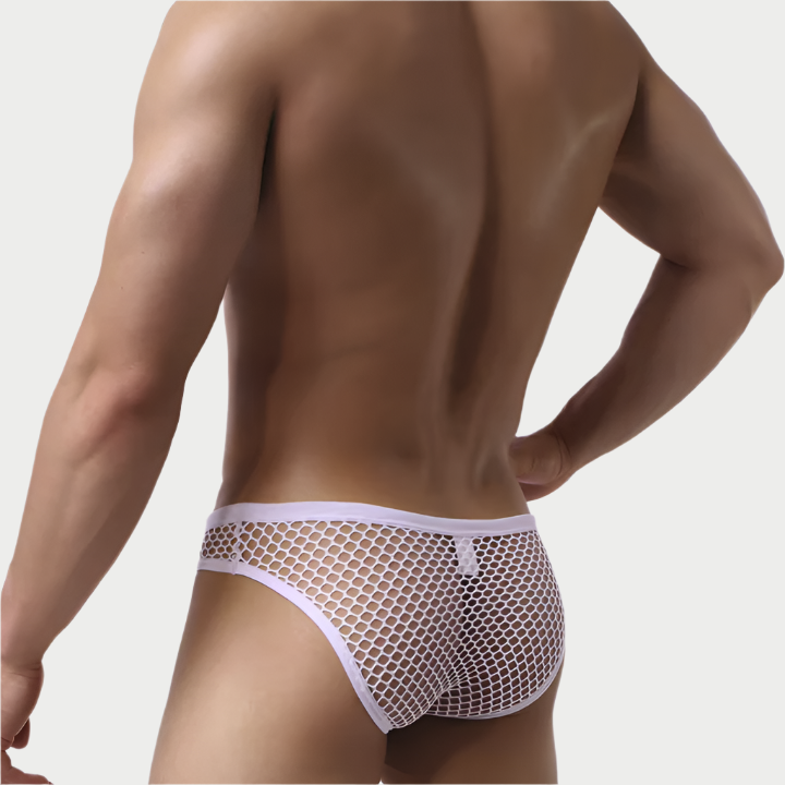 Mesh Fishnet Briefs