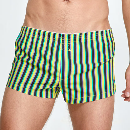 Striped Cotton Shorts