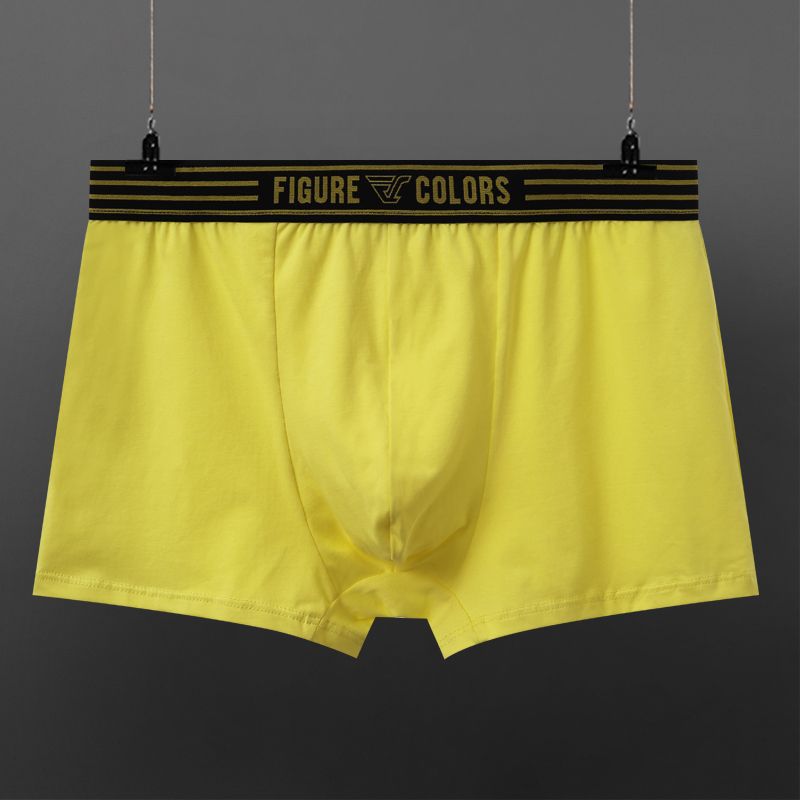 Figure Cotton Boxer Briefs