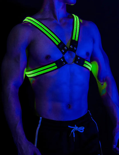 Glow Chest Harness (LED)