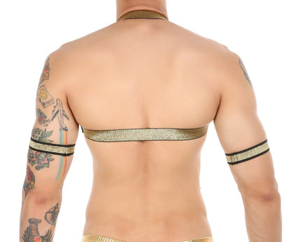 Gold Glitter Harness