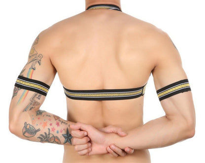 Gold Glitter Harness