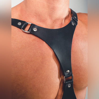 Leather Triangle Harness