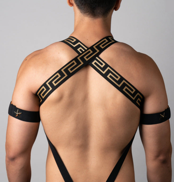 Elegant Gold Star Elastic Harness