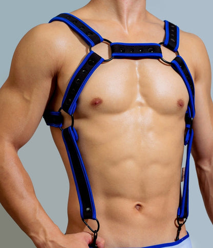 Coloured Harness