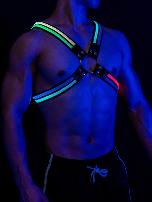 Glow Chest Harness (LED)