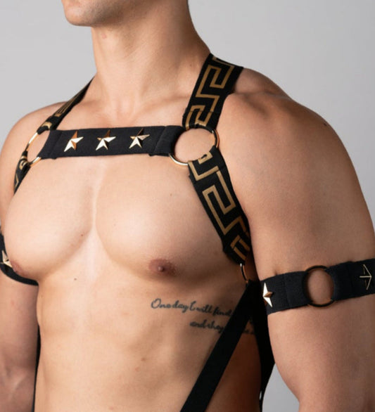 Elegant Gold Star Elastic Harness