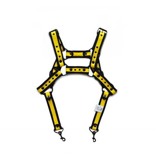 Coloured Harness