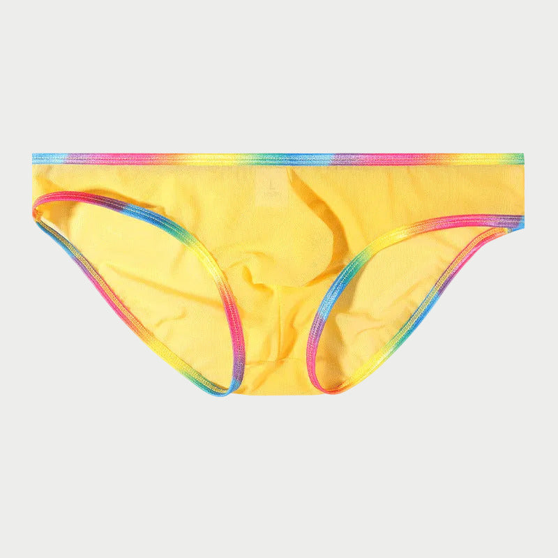 Rainbow Trim Sheer Mesh Briefs
