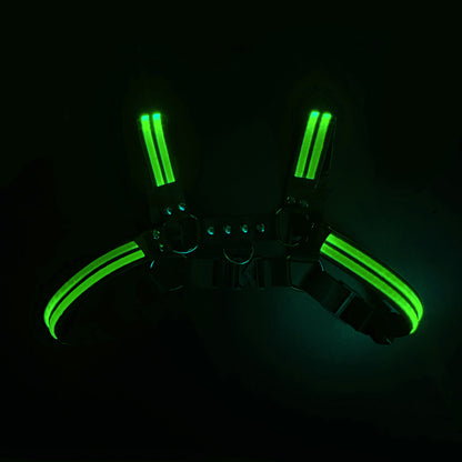 Glow Chest Harness (LED)