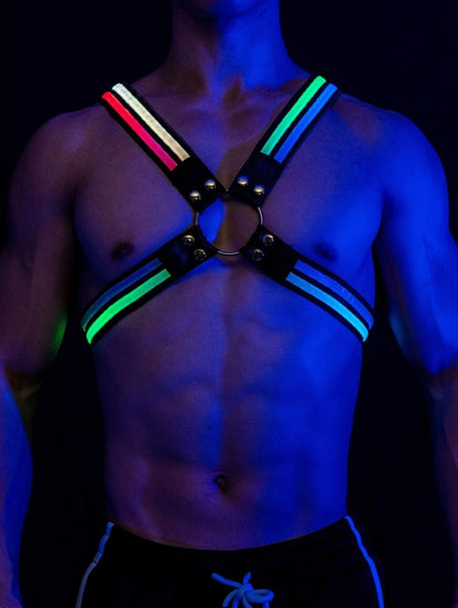 Glow Chest Harness (LED)