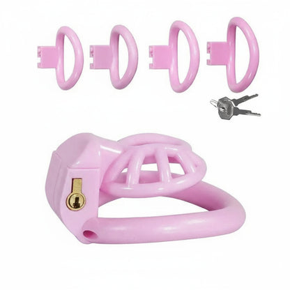 PushTech Chastity Cage With 4 Ring Sizes