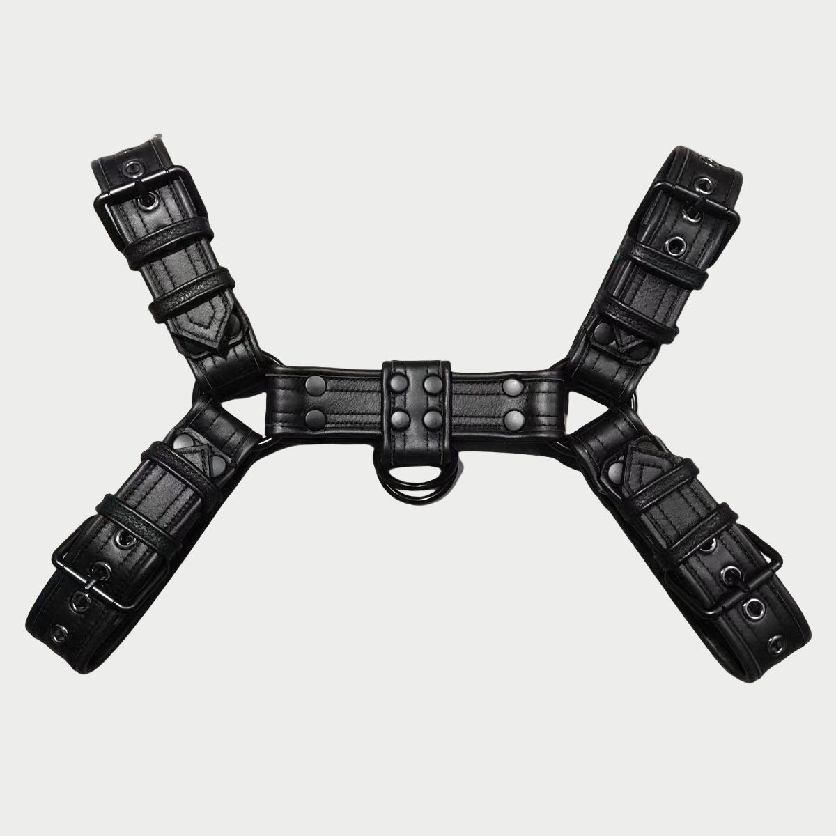 Heavy Duty Buckle Leather Harness