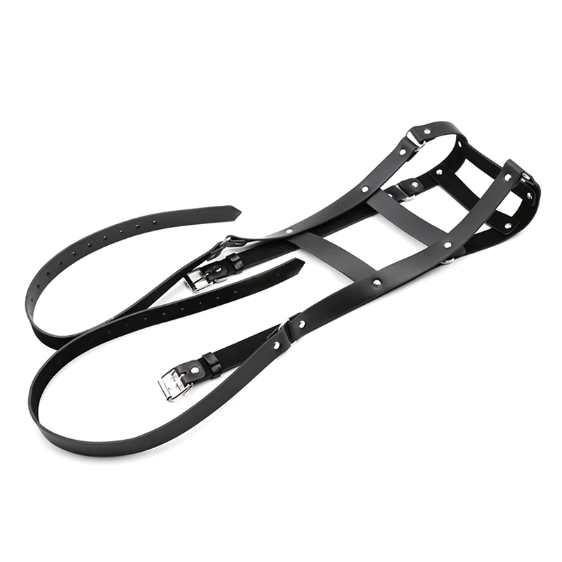 Double Strap Shoulder Harness