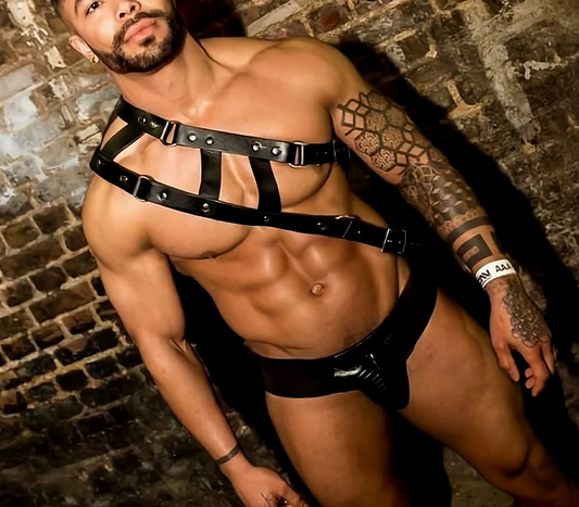 Double Strap Shoulder Harness