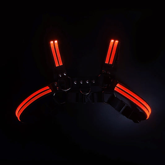 Glow Chest Harness (LED)