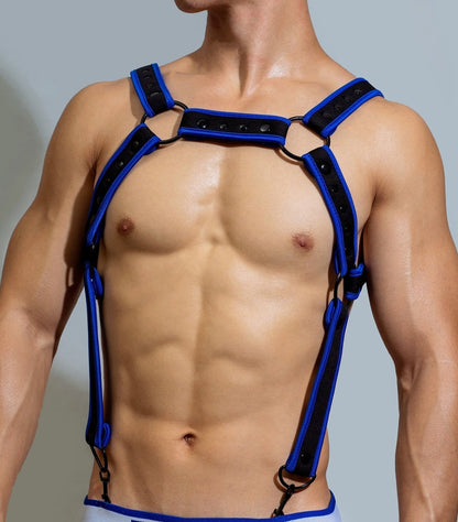 Coloured Harness